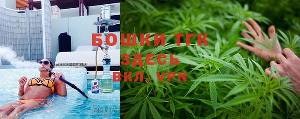 ешки Алзамай