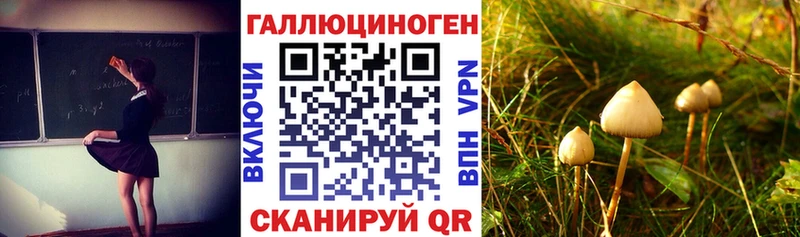 Псилоцибиновые грибы прущие грибы  Брюховецкая 